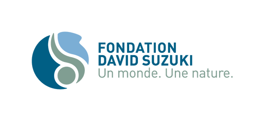 Fichier:Logo FDS DSF.png
