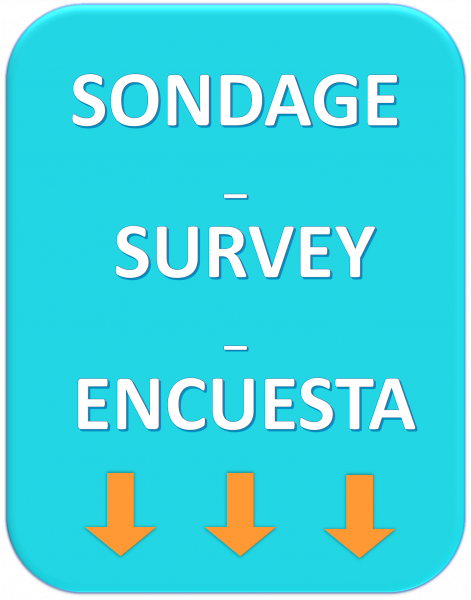 Fichier:SONDAGE SURVEY ENCUESTA2.png